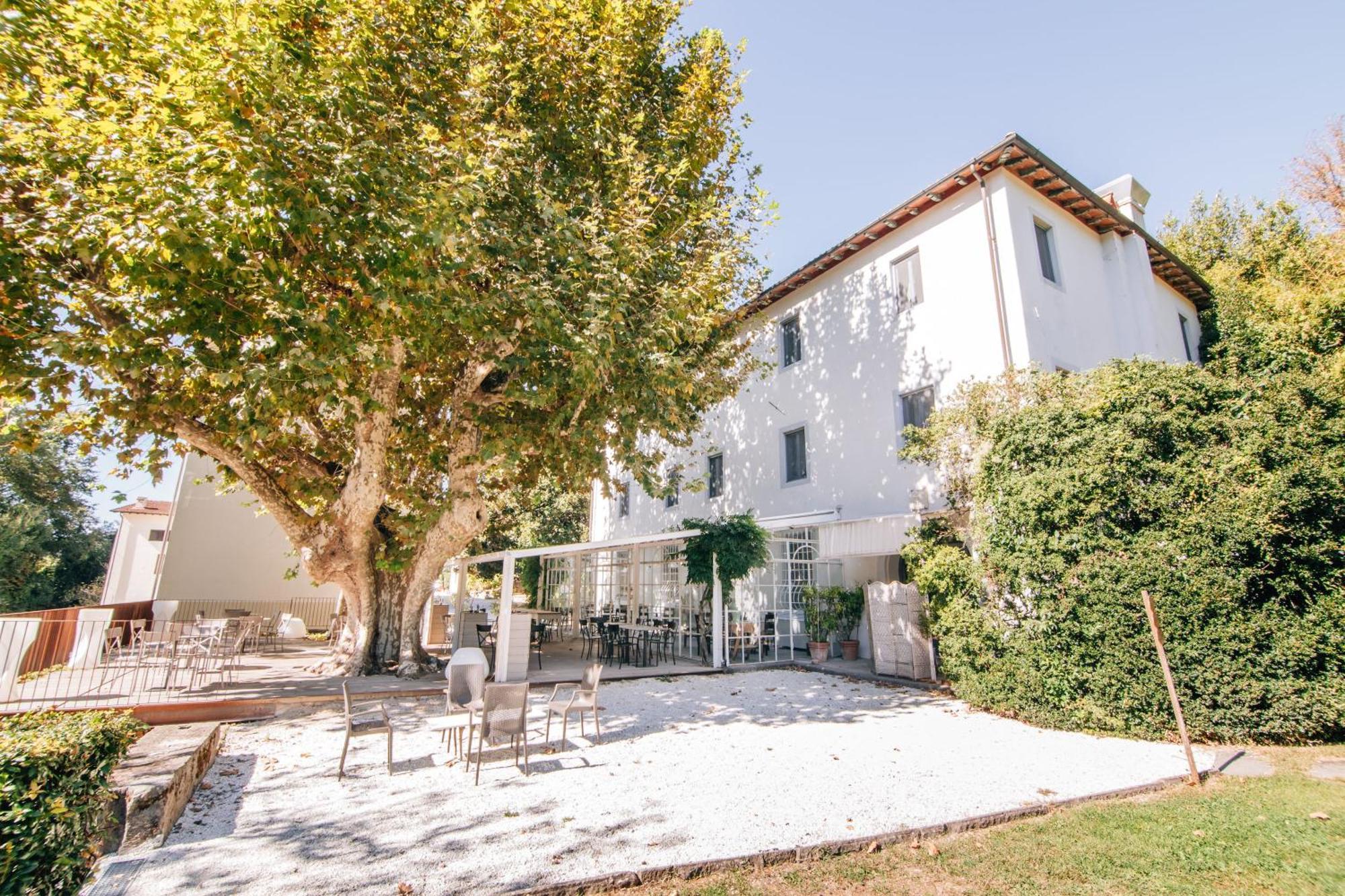Villa La Bianca Camaiore Ngoại thất bức ảnh