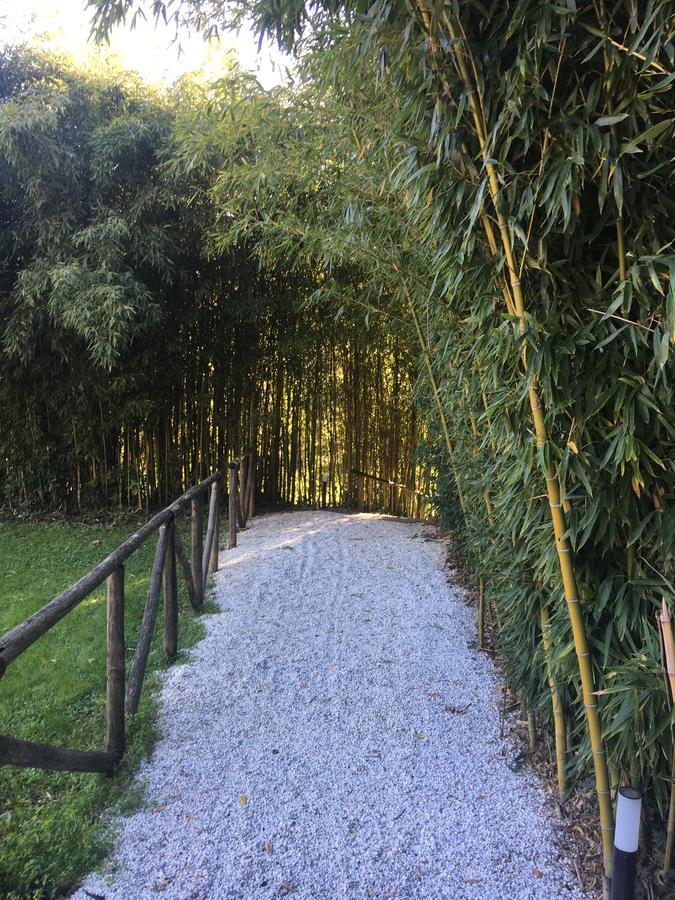 Villa La Bianca Camaiore Ngoại thất bức ảnh
