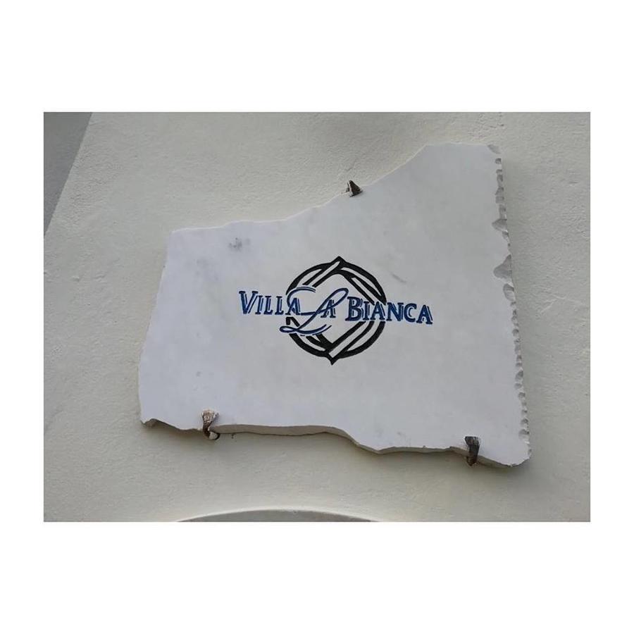 Villa La Bianca Camaiore Ngoại thất bức ảnh